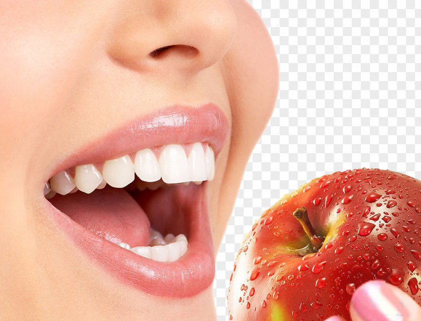 Strong Teeth Human Tooth Whitening Beauty Smile PNG