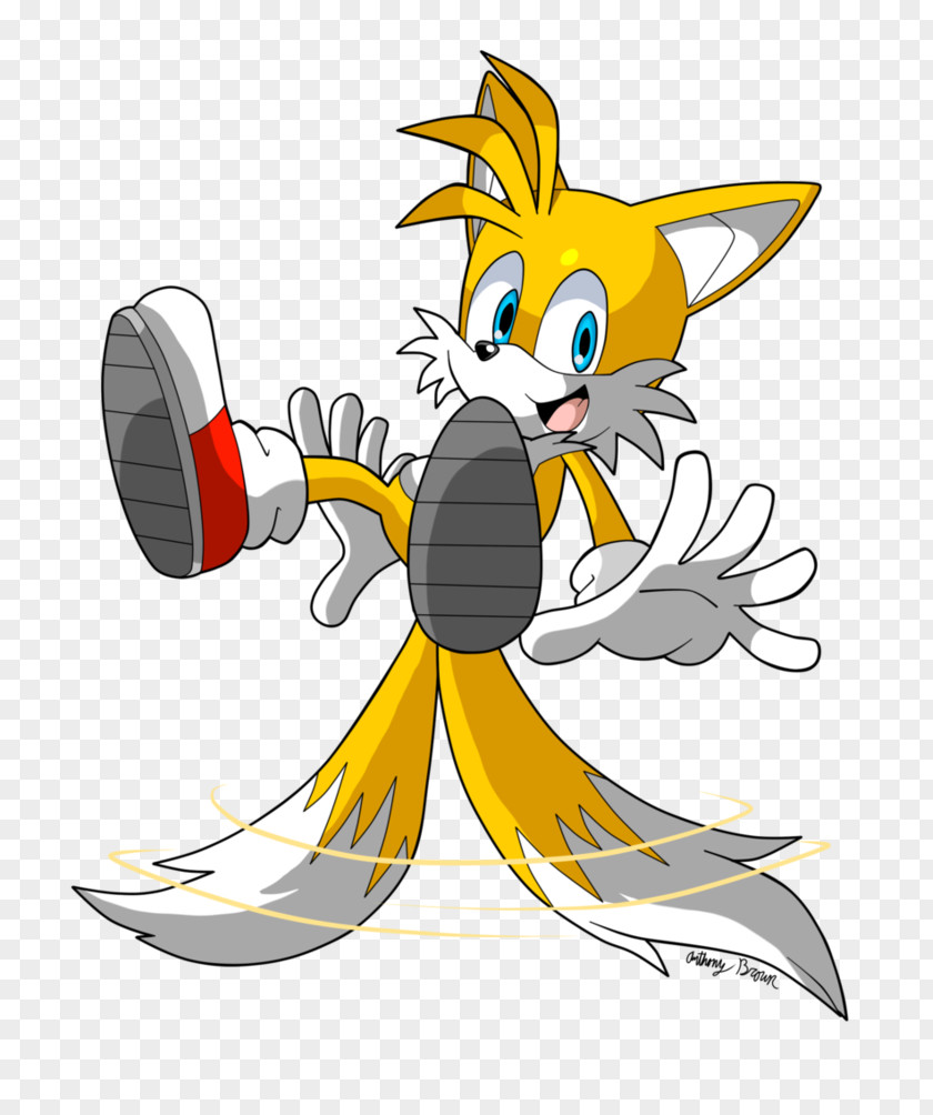 Tails Sonic Riders Chaos Adventure Ariciul PNG