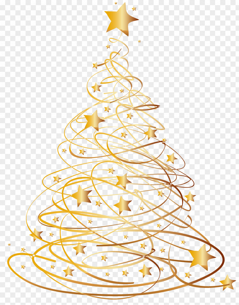 Christmas Tree Fir SARL Huilerie Des Roches PNG