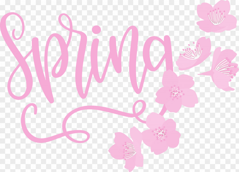 Floral Design PNG