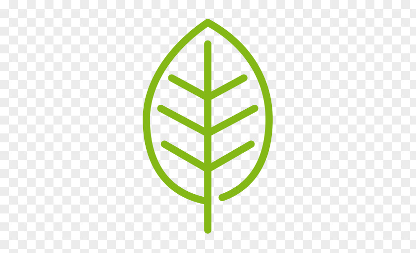 Leaf Organic Farming Food Vector Graphics PNG