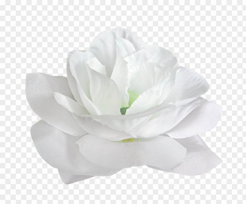 White Rose Flower Petal PNG