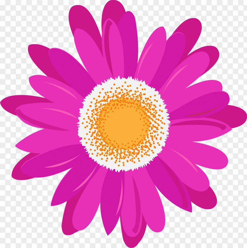 Camomile Daisy Family Magenta Pink Purple Violet PNG