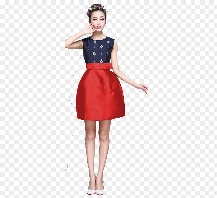 Clothing Cocktail Dress Model PNG