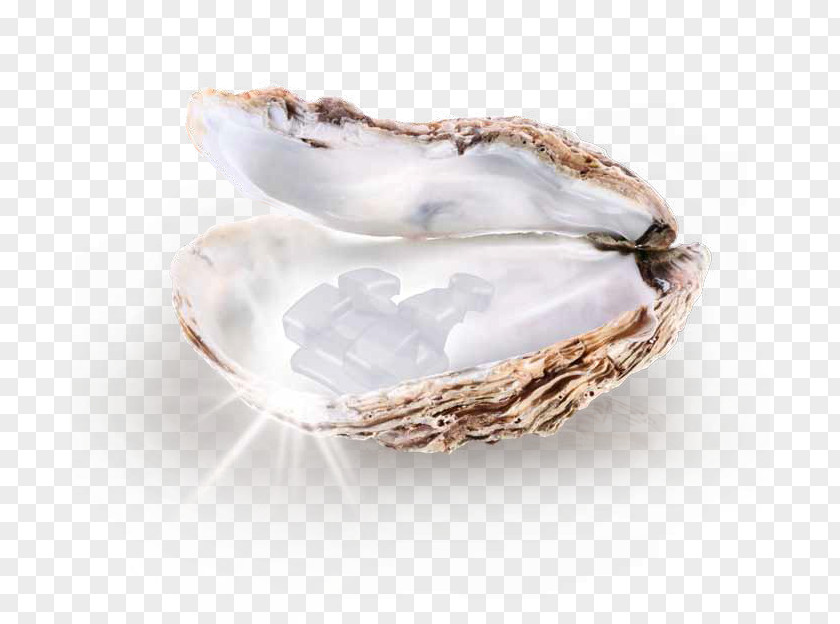 Gemstone The Pearl Pinctada Maxima Cultured PNG