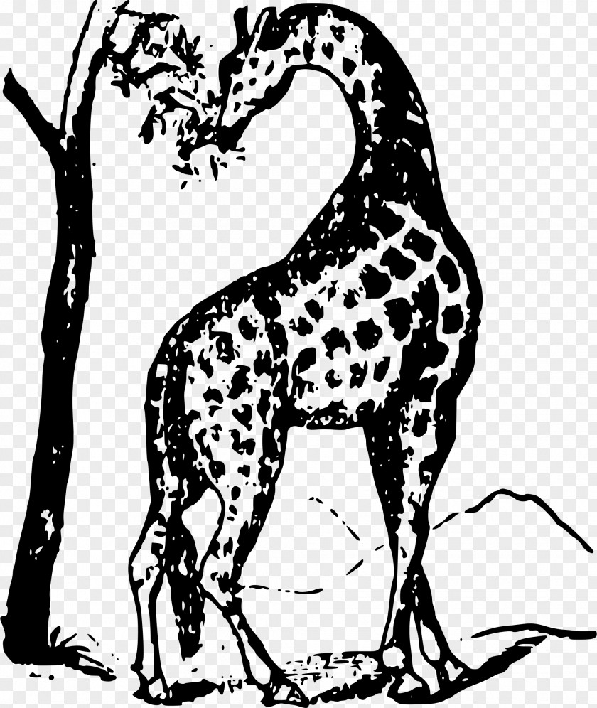Giraffe Struggles And Triumphs: Or, Forty Years' Recollections Of P. T. Barnum Clip Art PNG