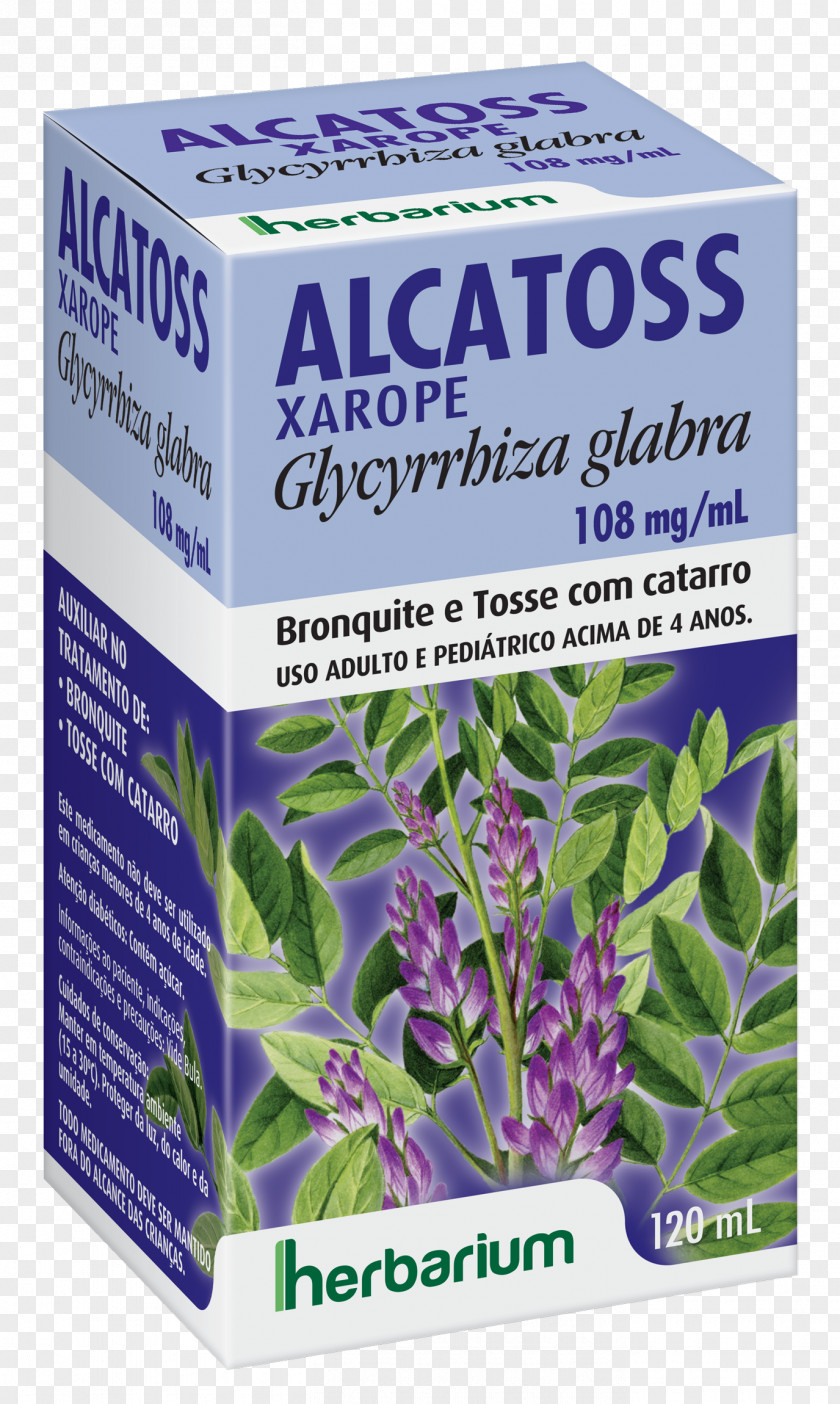 Glycyrrhiza Herbalism Liquorice Pharmaceutical Drug Herbal Medicine PNG