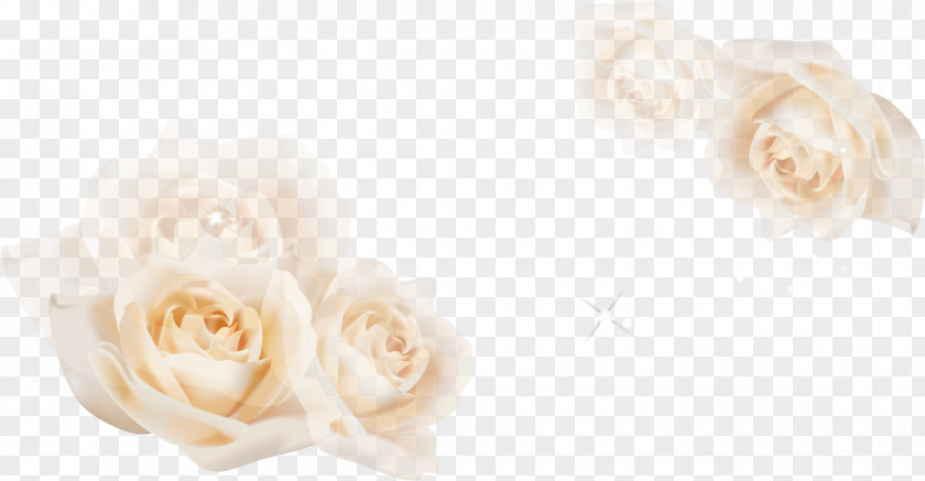 White Roses Garden Floral Design Cut Flowers Flower Bouquet PNG