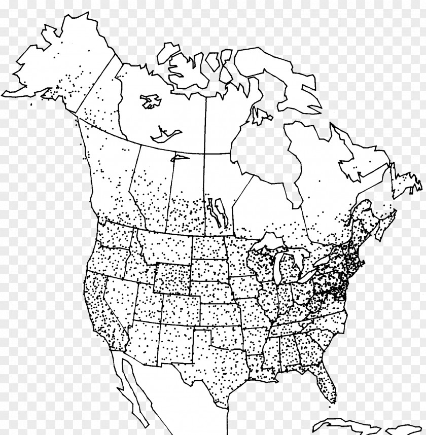 Yucca Aloifolia East Coast Of The United States /m/02csf Drawing Line Art PNG