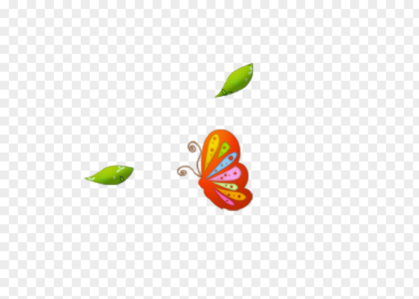 Butterfly Computer Wallpaper PNG