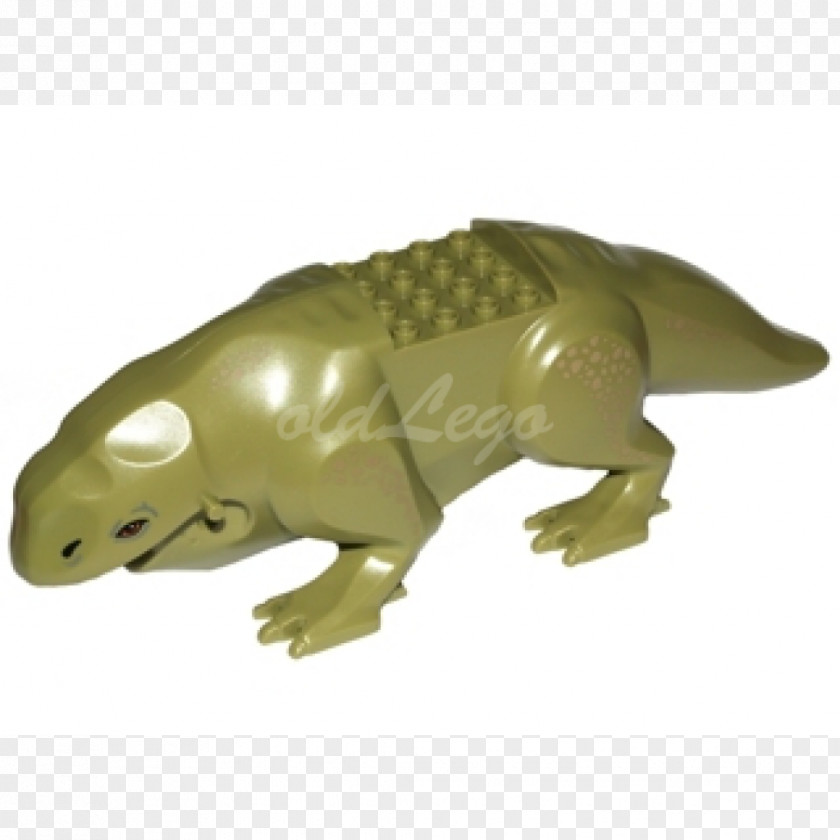 Claw Reptile Amphibians Figurine Terrestrial Animal PNG