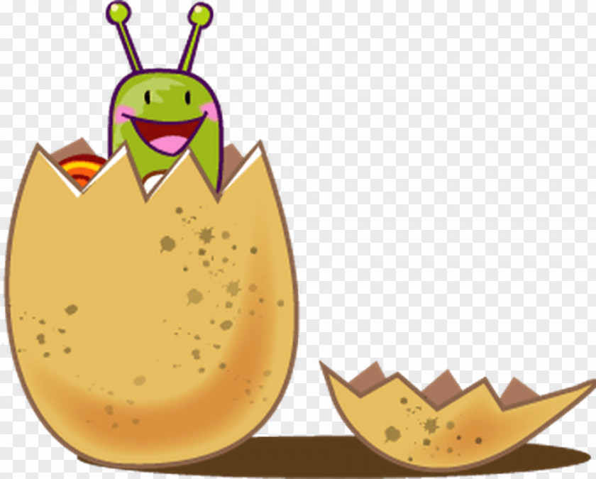 Egg Soup Snail Caviar Drawing Insect PNG