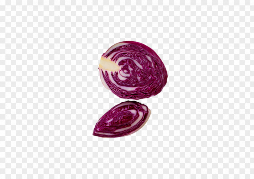 Hand-painted Cabbage DASH Diet Whole Food Purple Circle Pattern PNG