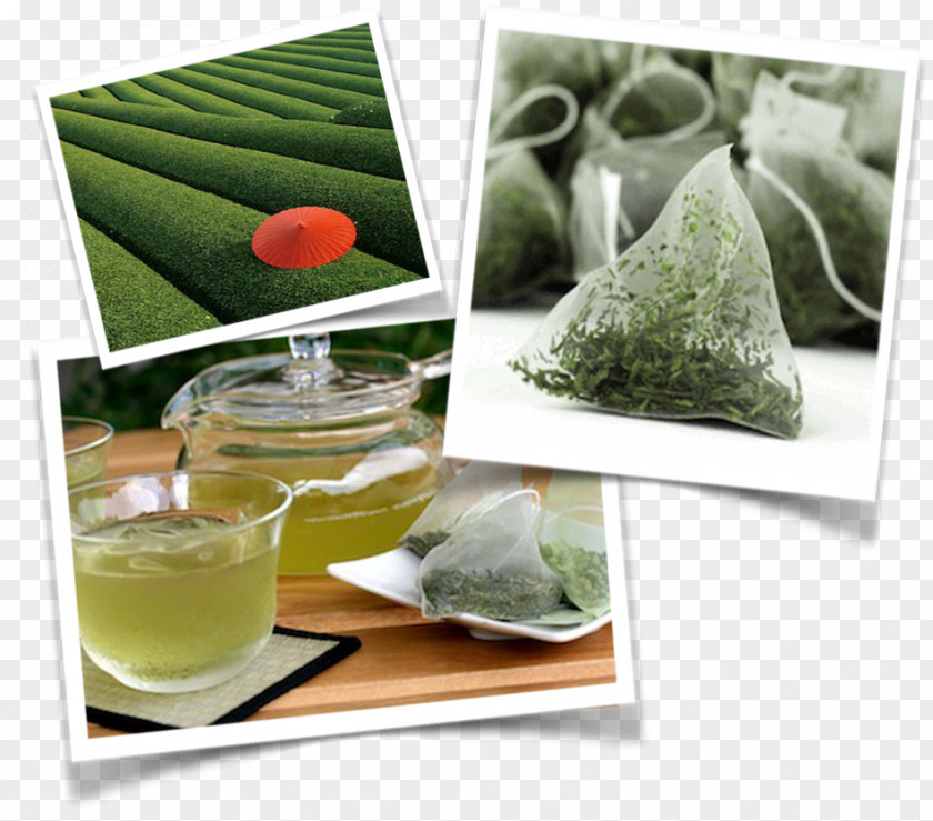 Japanese Tea Recipe Superfood PNG