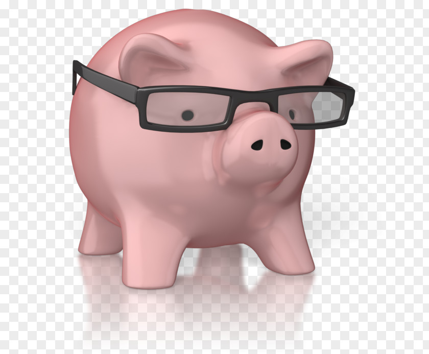 Pig Piggy Bank Snout PNG