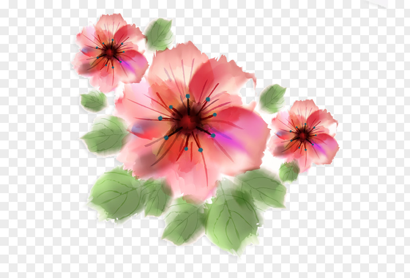 Watercolor Flowers Drawing Pink Clip Art PNG