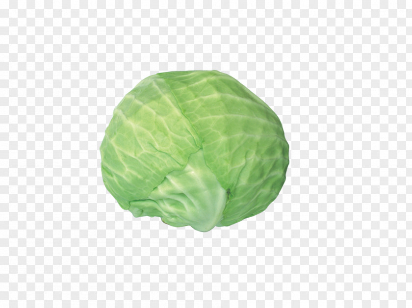 A Cabbage Red Vegetable PNG