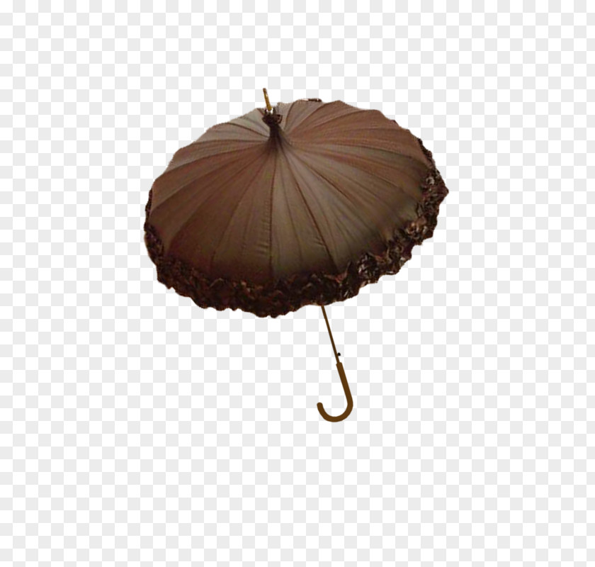 Brown Umbrella Download PNG