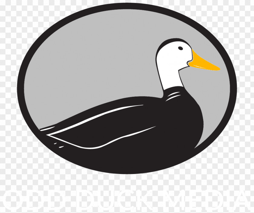 Business Odd Duck Media Google My Logo PNG