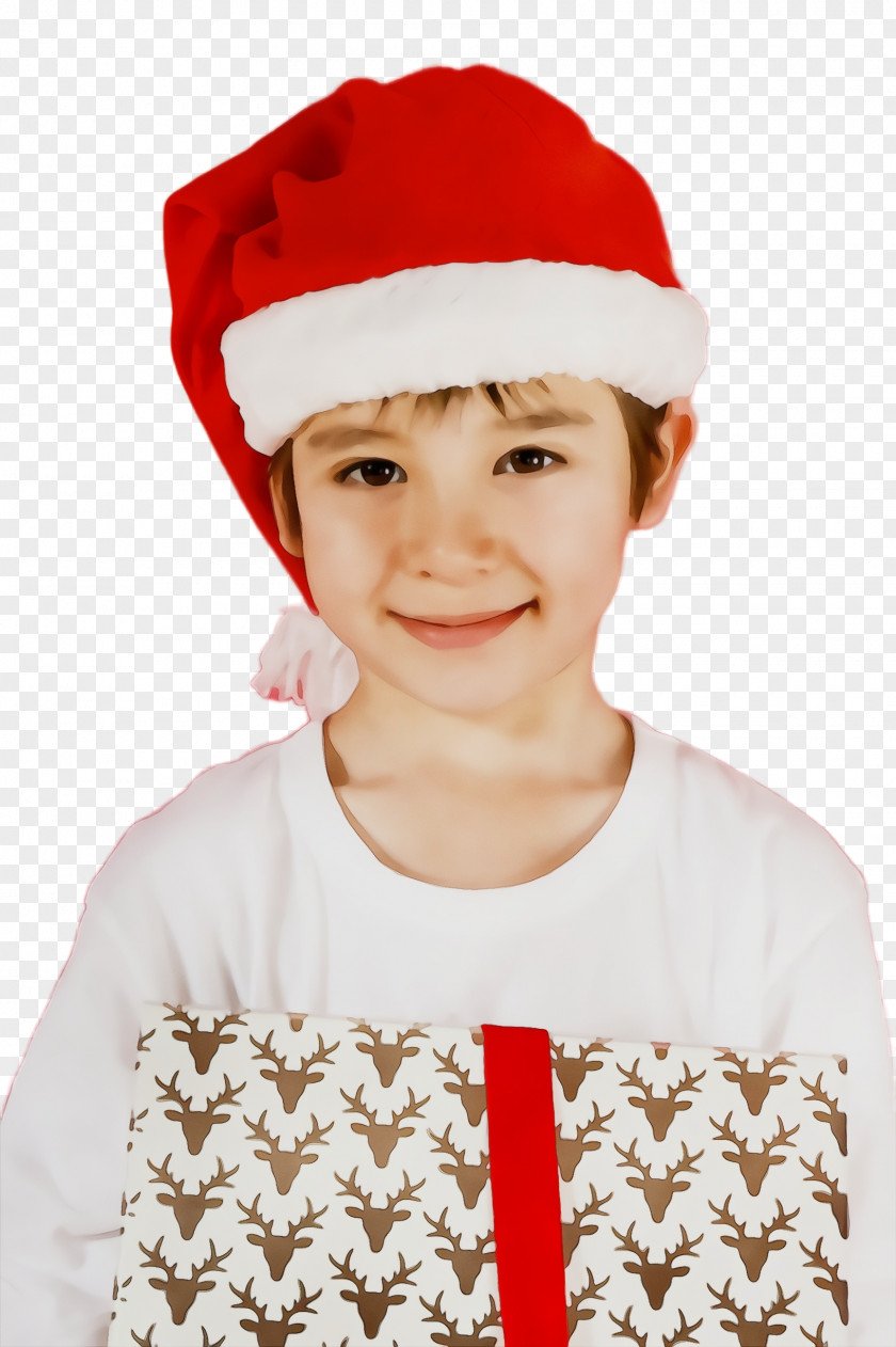 Fictional Character Bonnet Santa Claus PNG