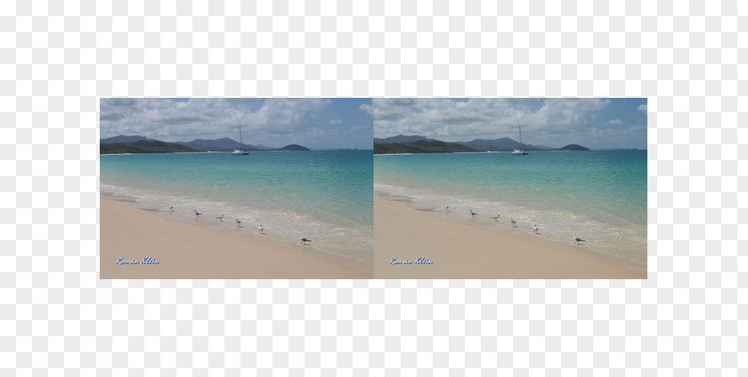 Project Reality Caribbean Beach Coast Ocean Inlet PNG