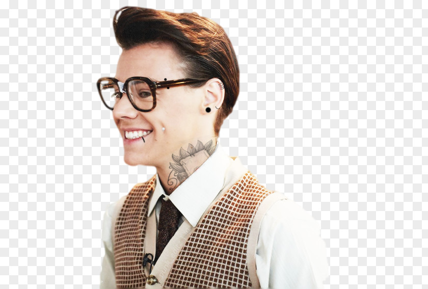 Punk Harry Styles One Direction Best Song Ever Perfect PNG