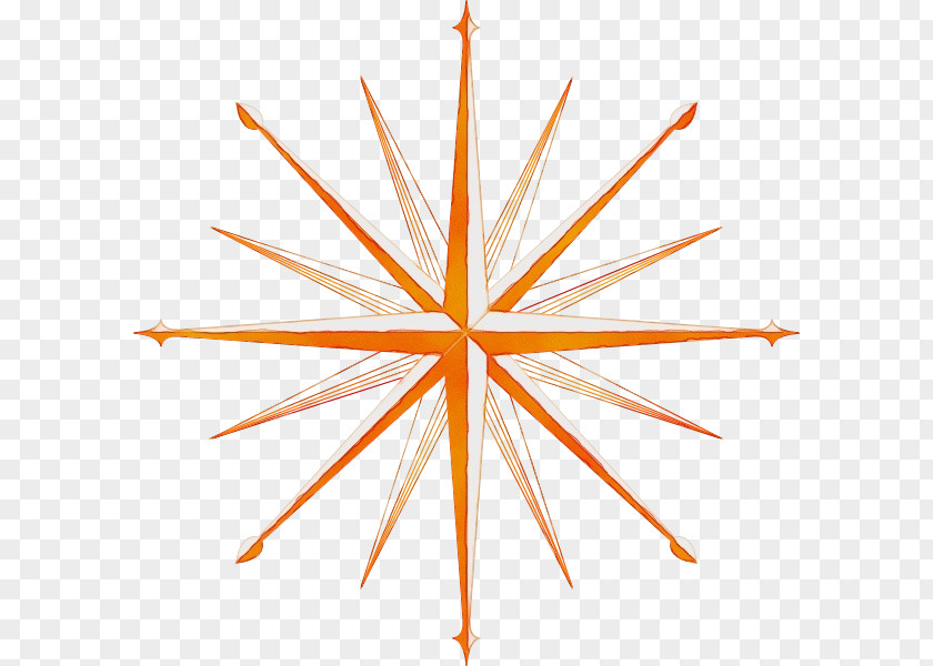 Symmetry Orange PNG