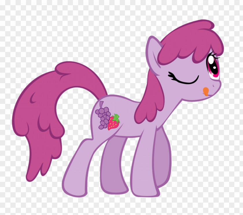 Berry Punch Pony Fluttershy Twilight Sparkle Rainbow Dash PNG