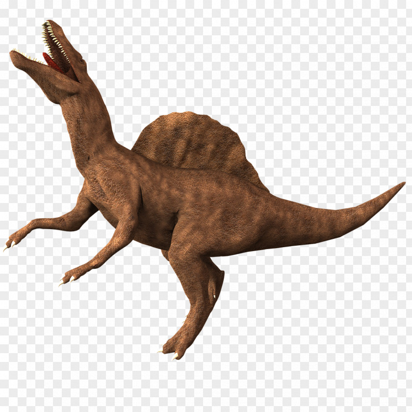 Dinosaur Spinosaurus Dinosaurs Baryonyx Tyrannosaurus Velociraptor PNG