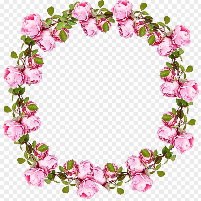 Floral Design PNG