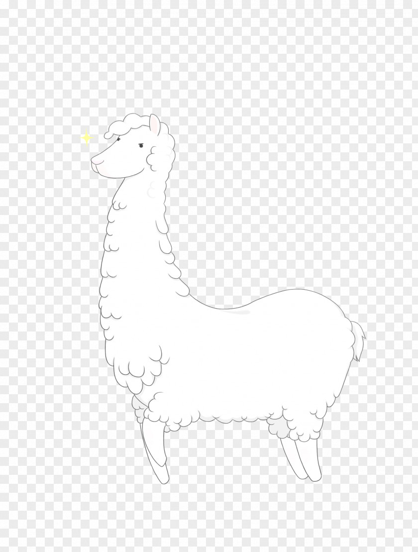 Sheep Llama Mammal Animal Sketch PNG