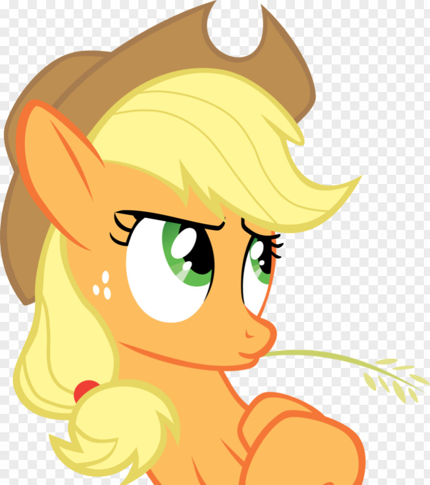 Applejack Rainbow Dash Pinkie Pie Rarity Pony PNG