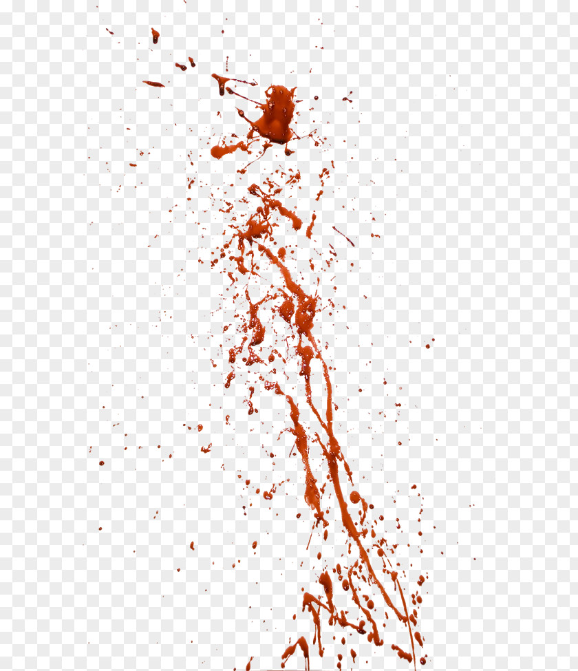 Blood PNG