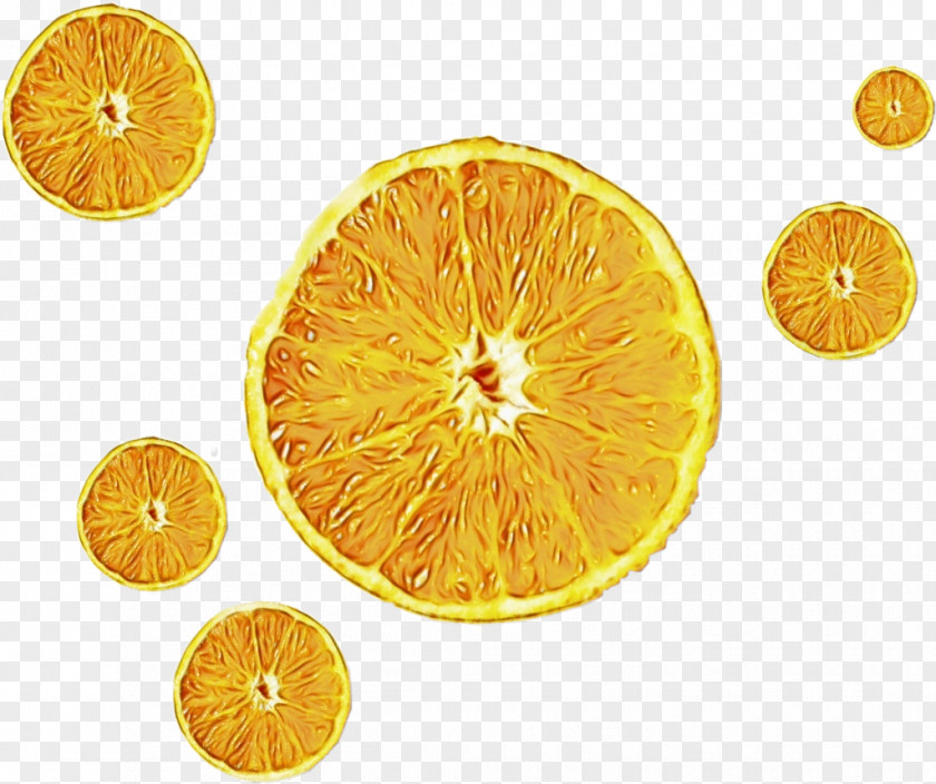 Calamondin Grapefruit Lemon PNG