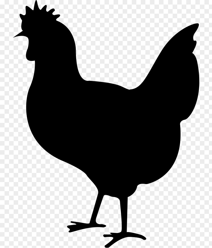 Chicken Silkie Meat Rooster PNG