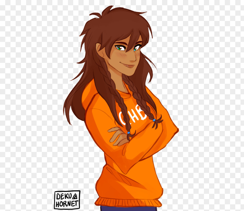 Fan Percy Jackson & The Olympians Annabeth Chase Heroes Of Olympus Art PNG