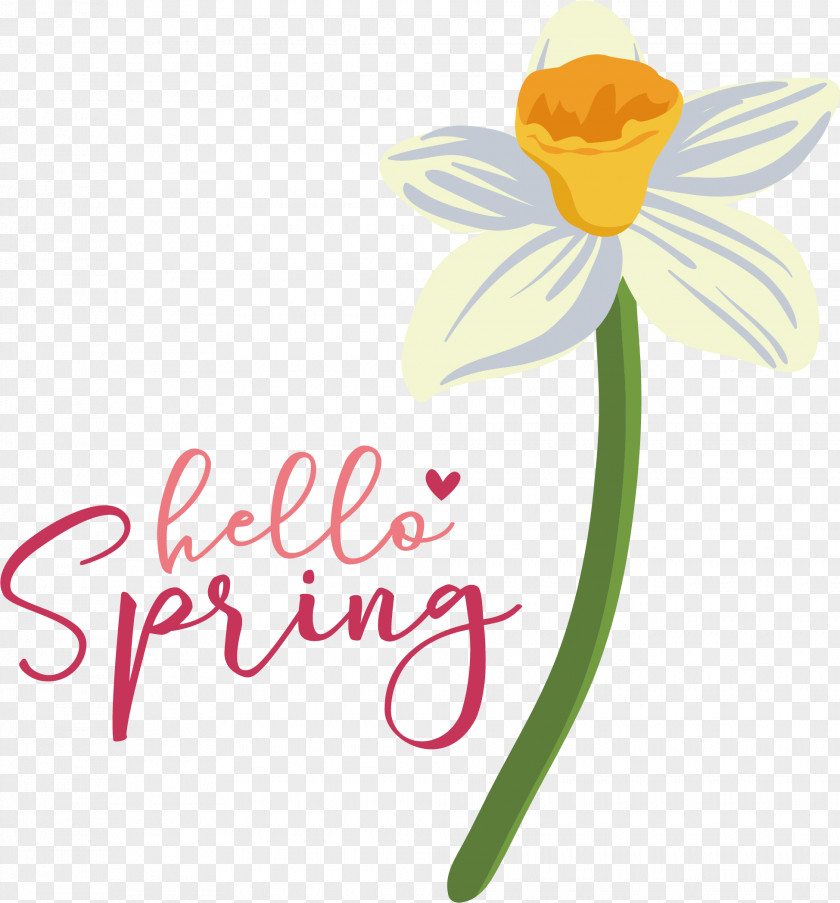 Floral Design PNG