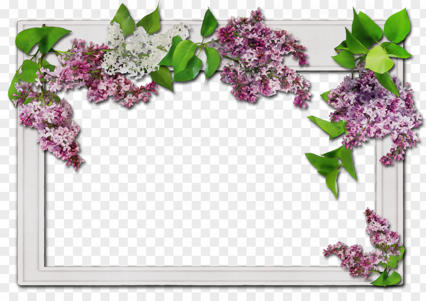 Picture Frame Plant White Photo PNG