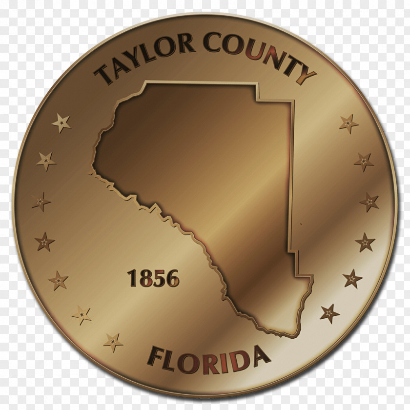 Pinellas County History Coin Newspaper Genealogy PNG