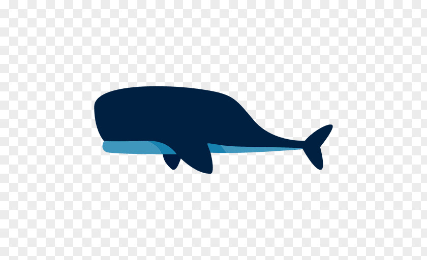 Common Bottlenose Dolphin Cetacea Sperm Whale Balaenidae PNG bottlenose dolphin whale Balaenidae, others clipart PNG