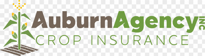 Energy Logo Brand Insurance Green PNG