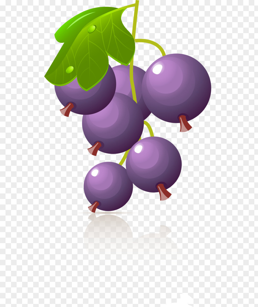 Grape Berry Clip Art PNG