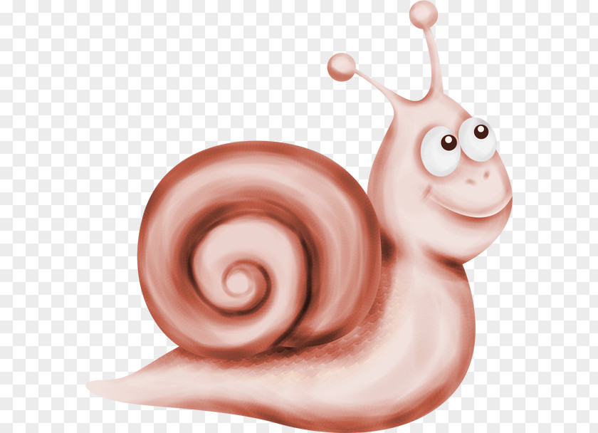 Hand-painted Cartoon Snail Poster Clip Art PNG