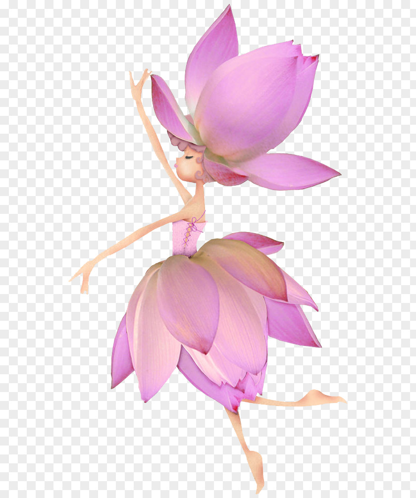 Lotus Flower Elf Euclidean Vector PNG