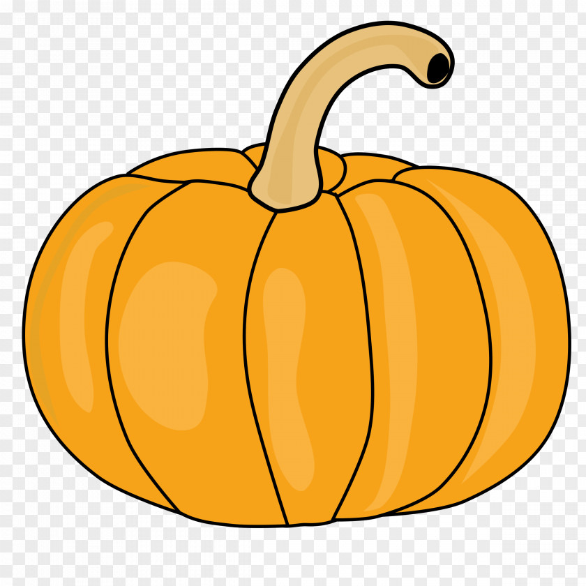 Acorn Squash Download Pumpkin Clip Art PNG