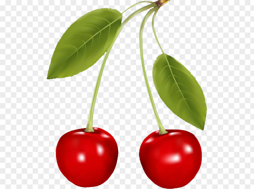 Cherry Berry Fruit PNG