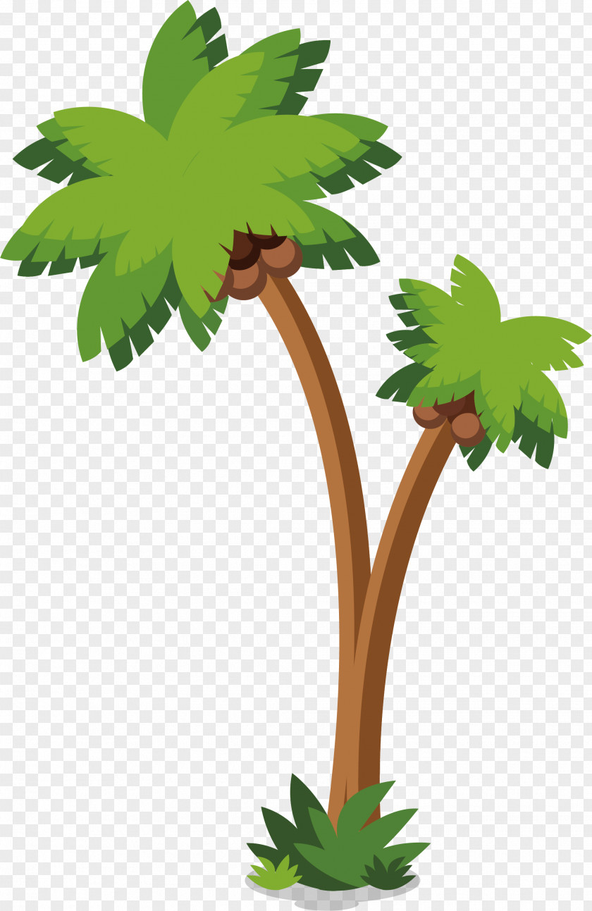 Coconut Trees On The Island Arecaceae Tree PNG