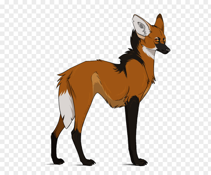 Dog Red Fox Breed DeviantArt PNG