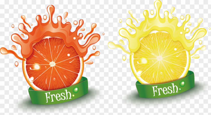 Splash Of Orange Juice Lemon Breakfast PNG