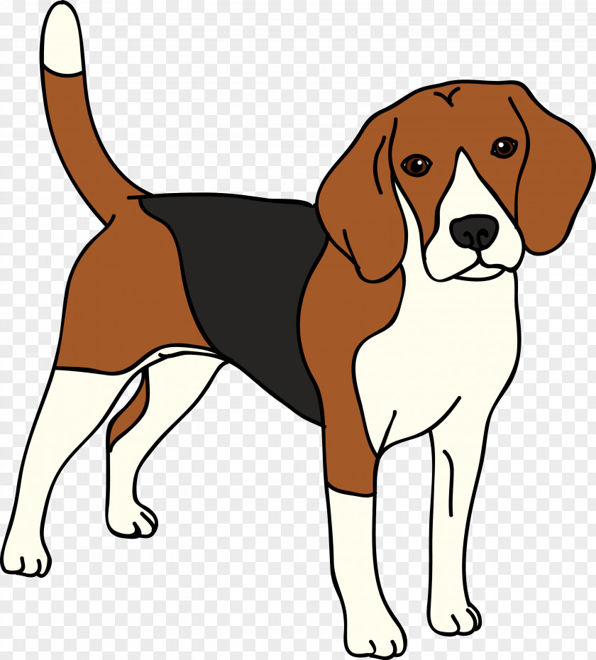 Unhappy Dog Map Beagle English Foxhound American Harrier Finnish Hound PNG